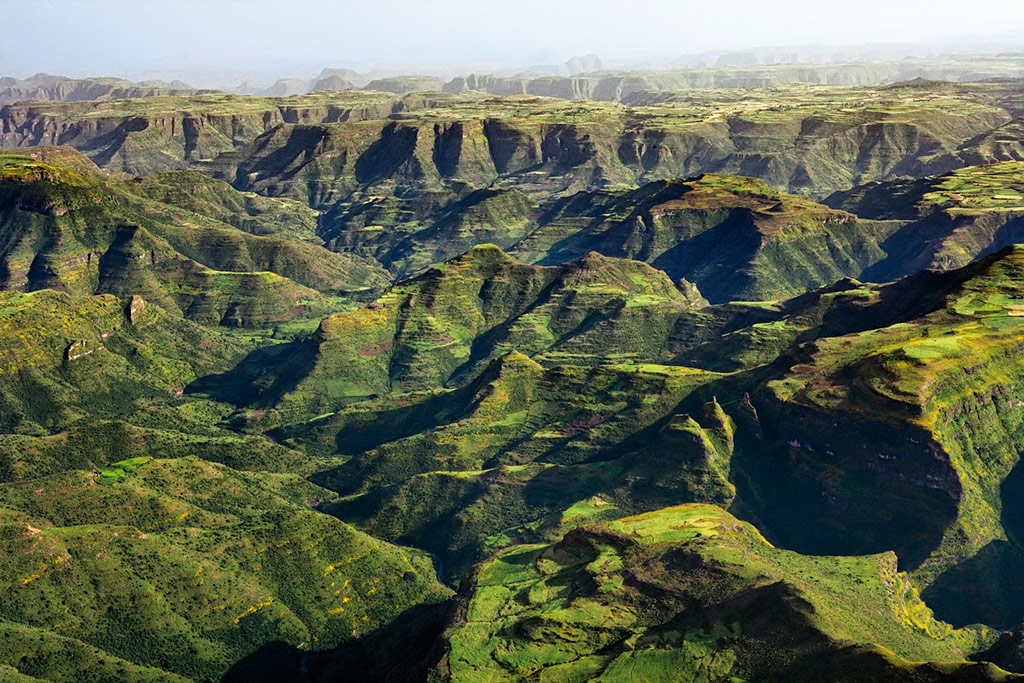Ngorongoro